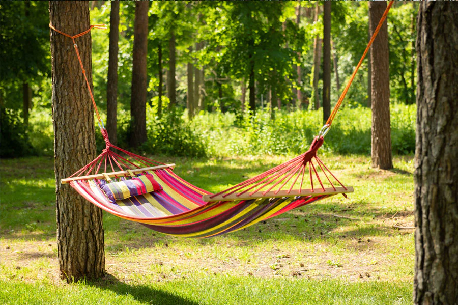 Hammock