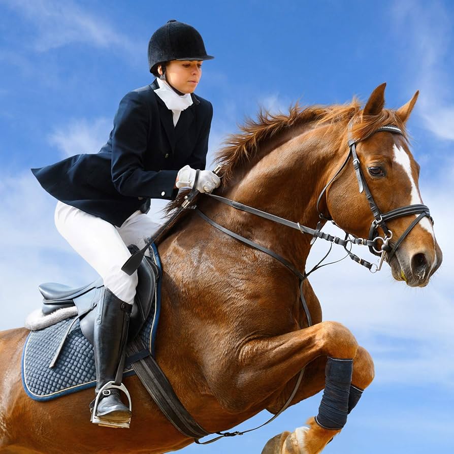 The Significance of Riding Crops in Equestrian Activities