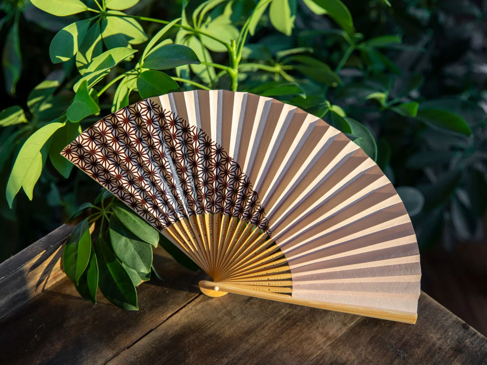 The Timeless Elegance of Hand Fans