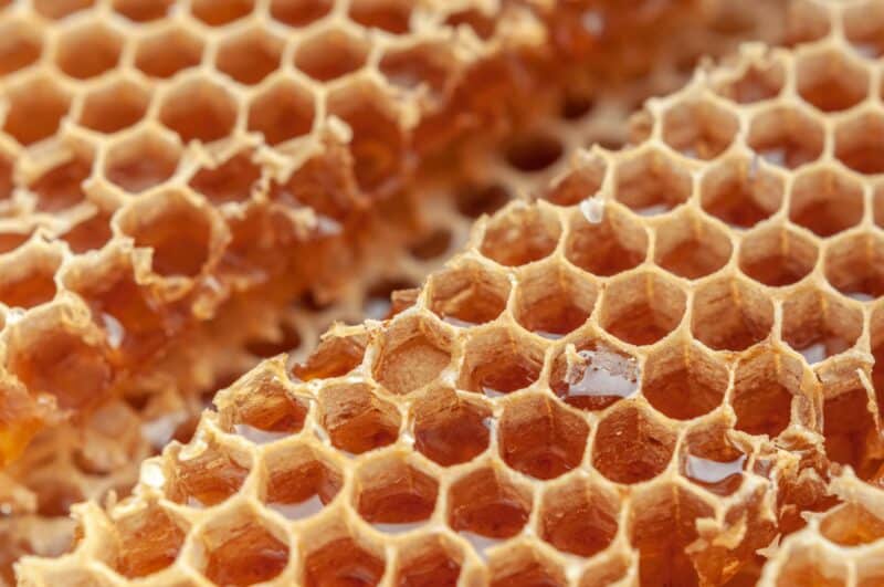 The Wonders of Honey Comb: Nature’s Sweet Marvel