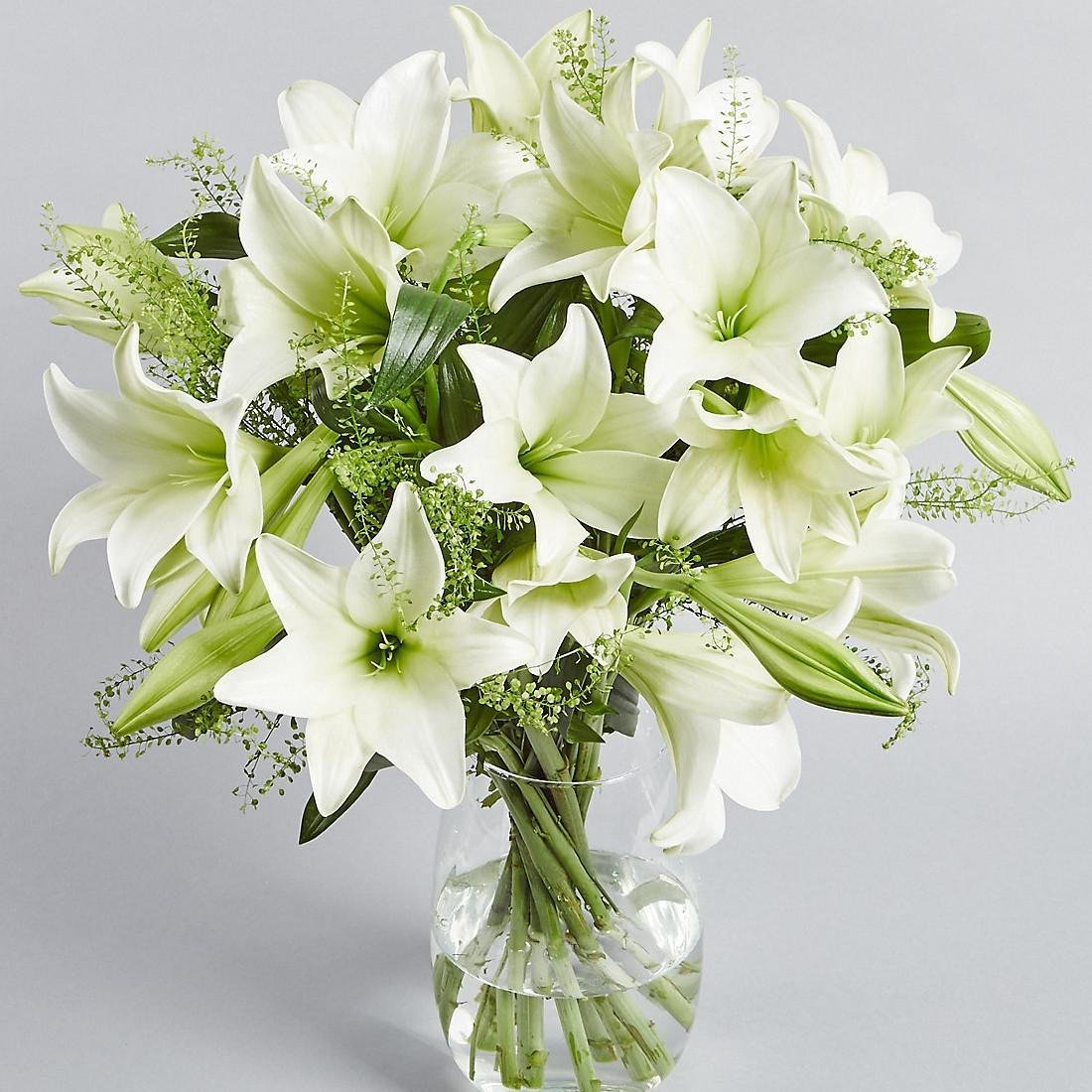 A Complete Guide to Lilies: Types, Meanings, and Care